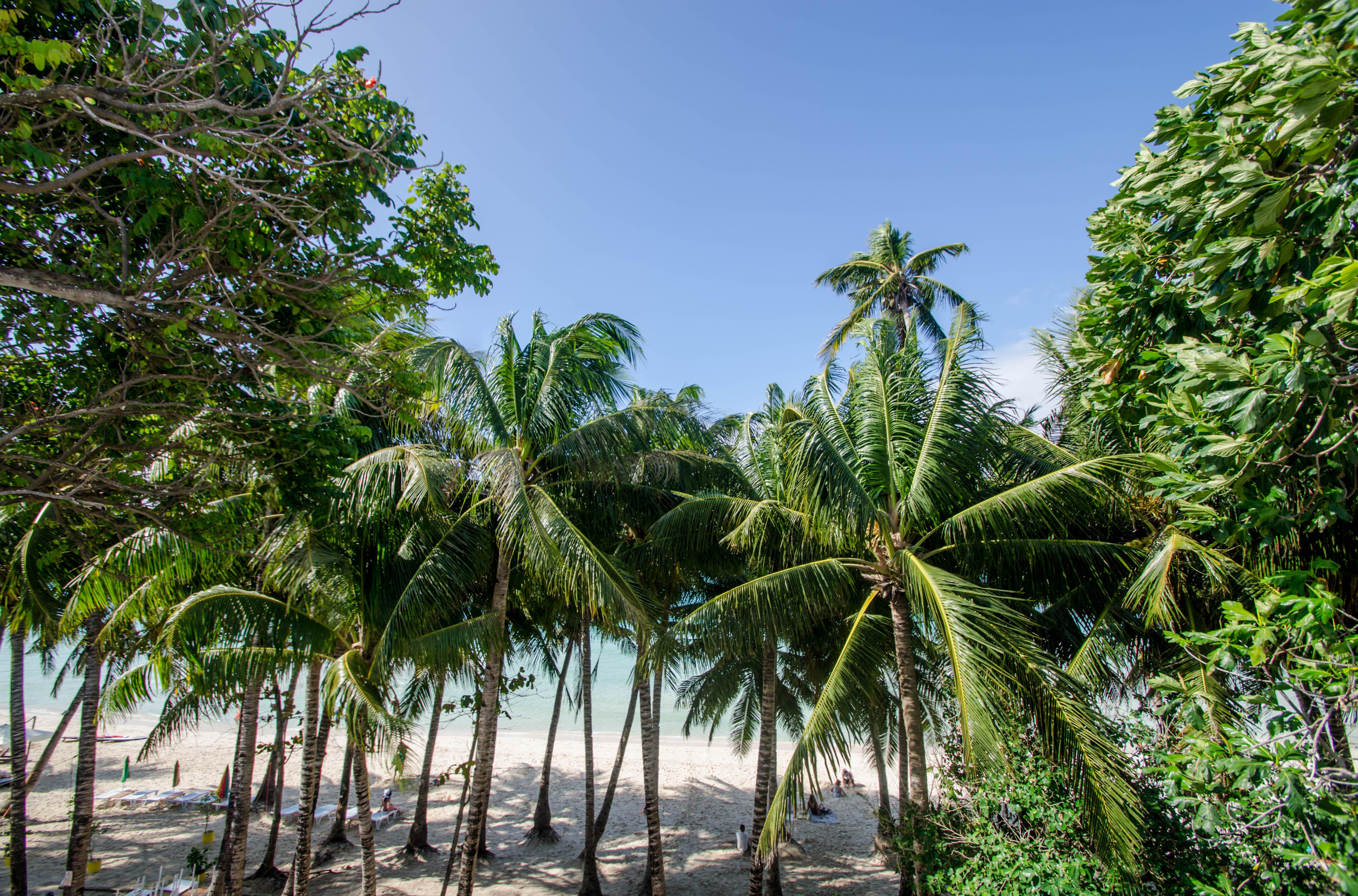 Coast Boracay Balabag (Boracay)